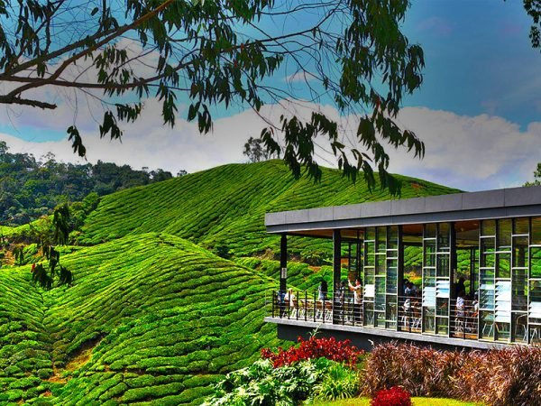 Cameron Highlands SIC